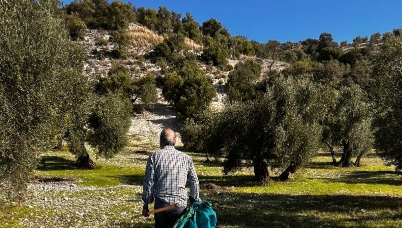 Andalusian organic sector produces more than it consumes